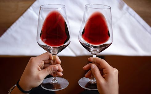 expérience guidée et immersive du vin et de l'huile d'olive dans le chianti-1