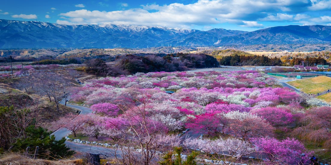Suzuka gezisinde yapılacak en iyi aktiviteleri keşfedin