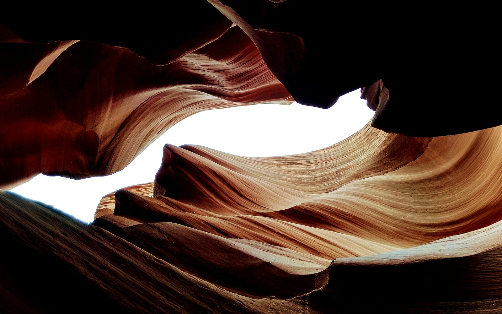 Lower Antelope Canyon's swirling sandstone formations in Arizona.