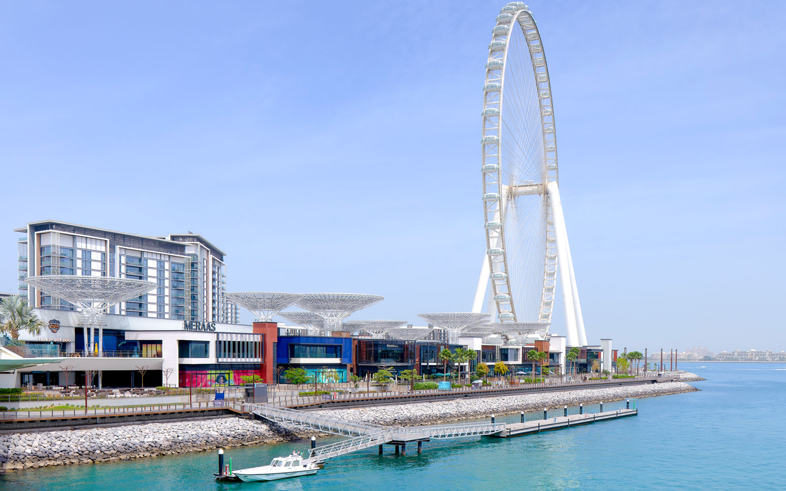 Ain Dubai Ferris wheel near waterfront at Port, Dubai.