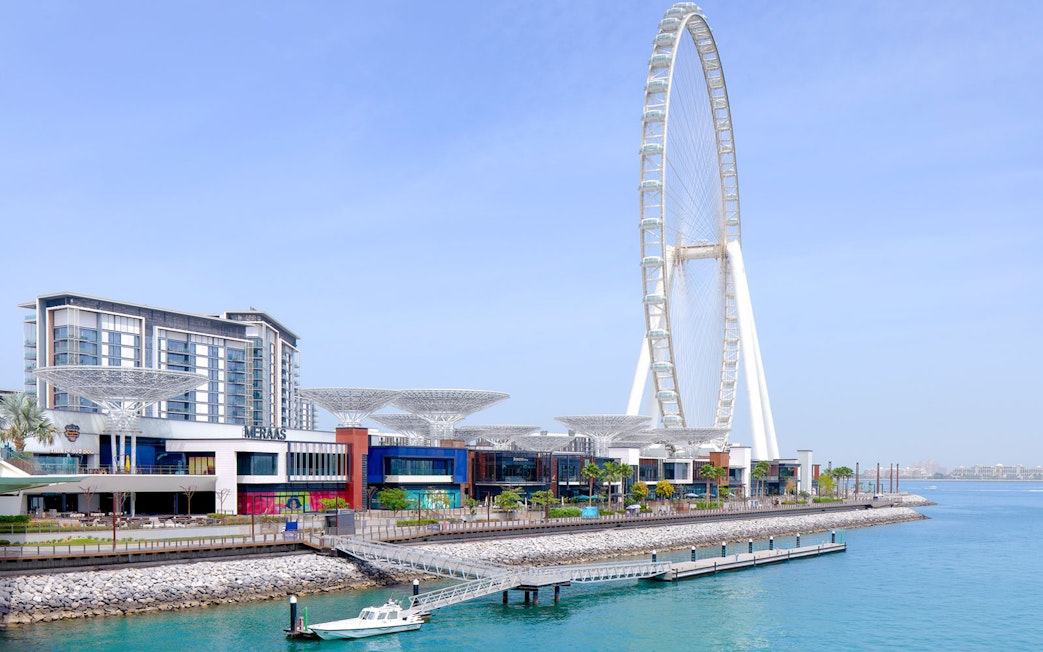 Ain Dubai Ferris wheel near waterfront at Port, Dubai.