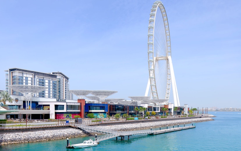 Ain Dubai Ferris wheel near waterfront at Port, Dubai.