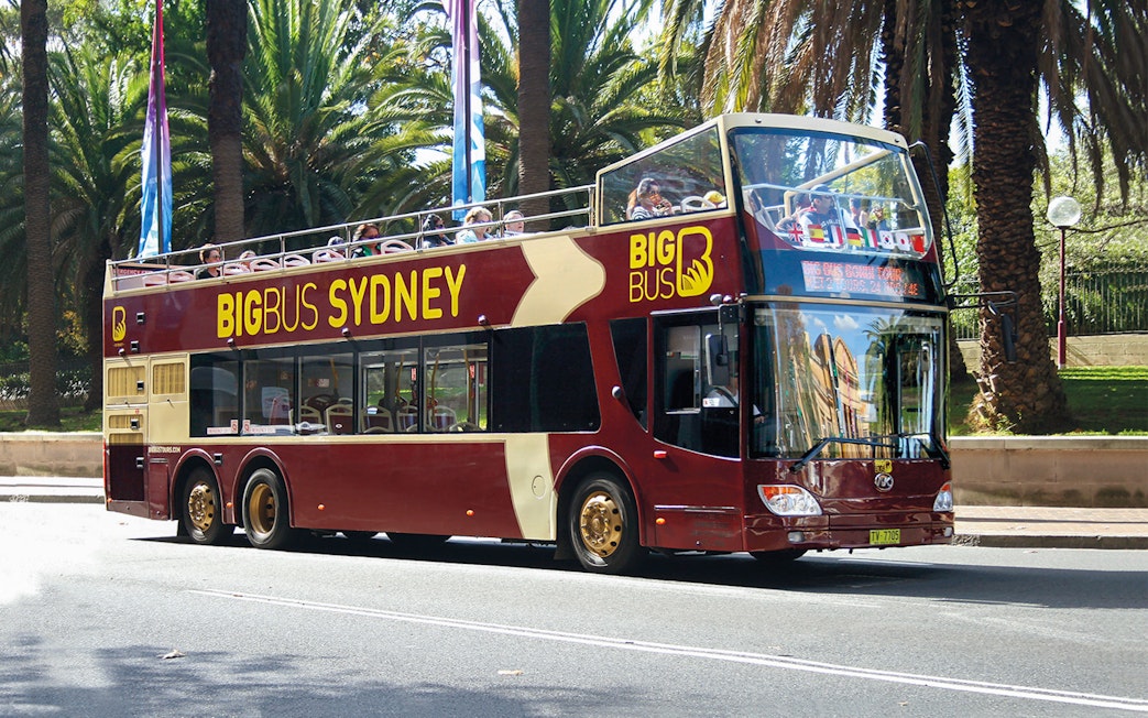 Open-top Big Bus Sydney tour bus driving past palm trees.