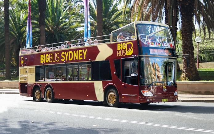 Open-top Big Bus Sydney tour bus driving past palm trees.