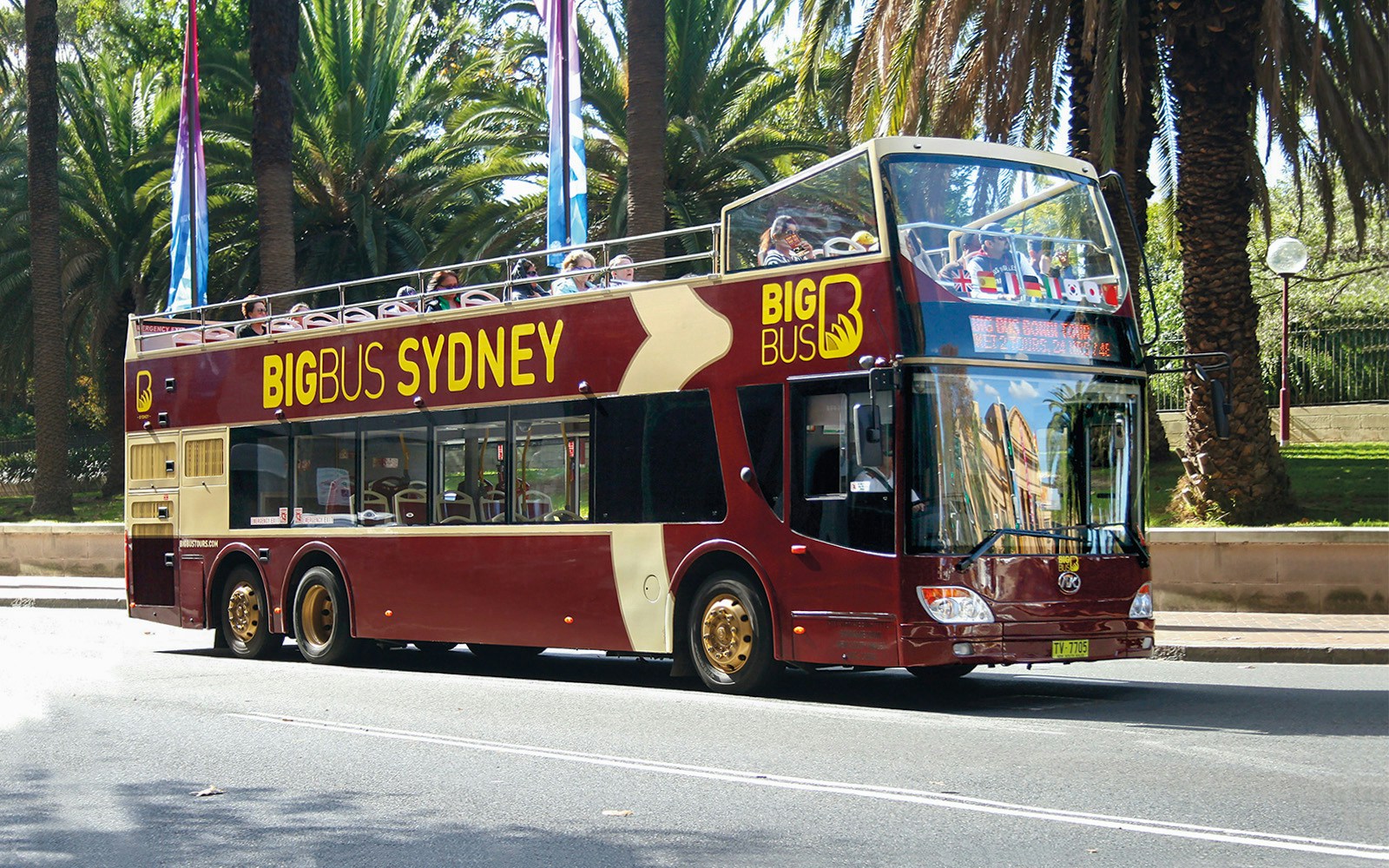 Open-top Big Bus Sydney tour bus driving past palm trees.