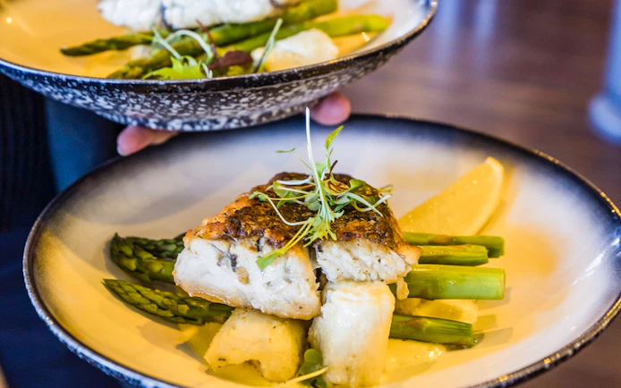 Grilled fish with asparagus and microgreens served on a plate during Sunshine Coast Hinterland food tour.