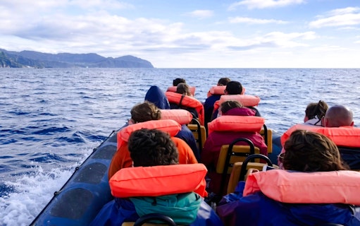 são miguel: bådtur med hvalsafari-3