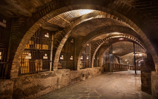 Wine cellar with barrels in a Rioja winery, part of a guided tour from San Sebastian.
