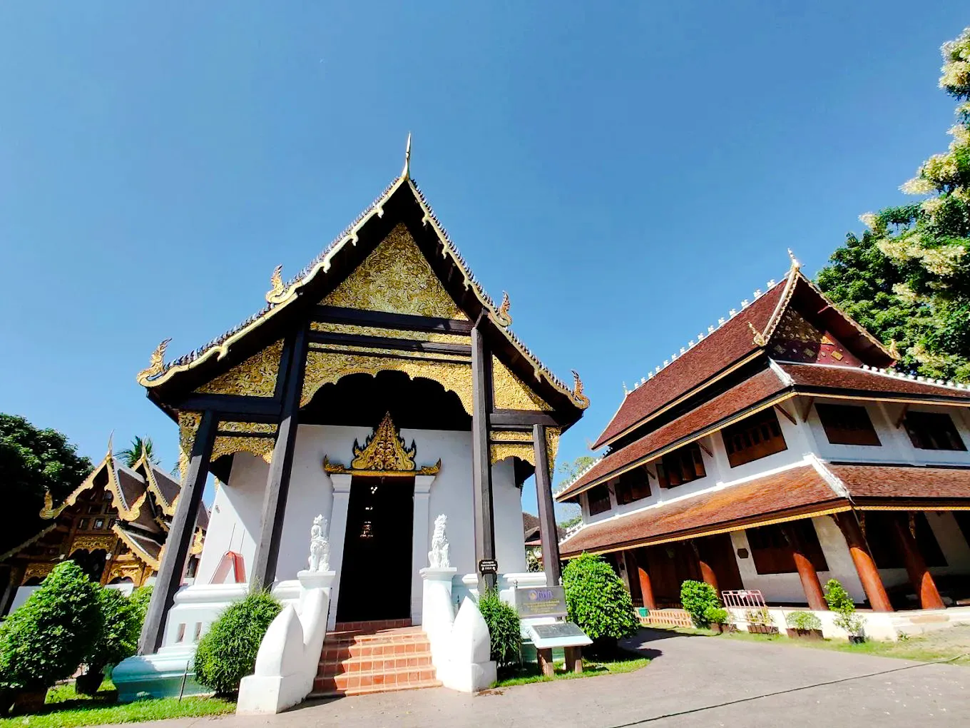 vandretur i chiang mai for litte grupper-8