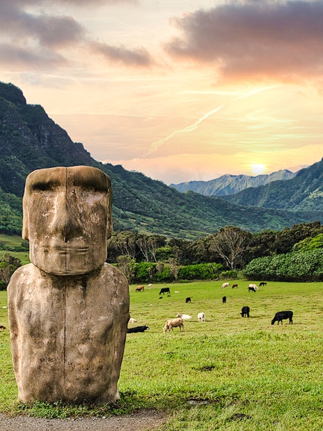 Moai statue with grazing cattle at Kualoa Ranch, Oahu, Hawaii, with lush mountains in the background.