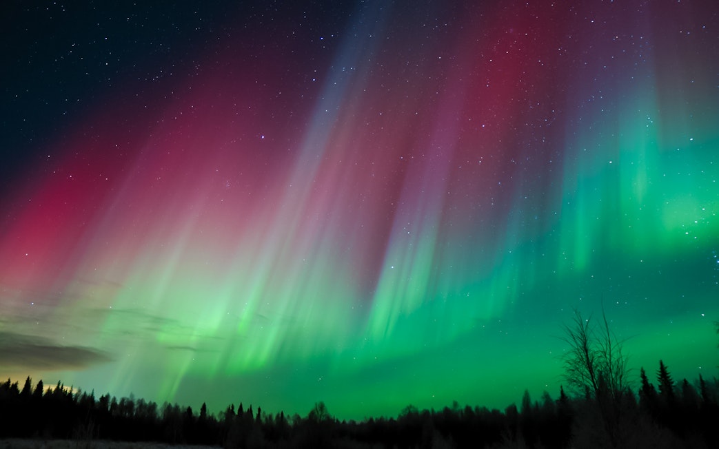 Northern Lights display over forest in Levi, Finland.