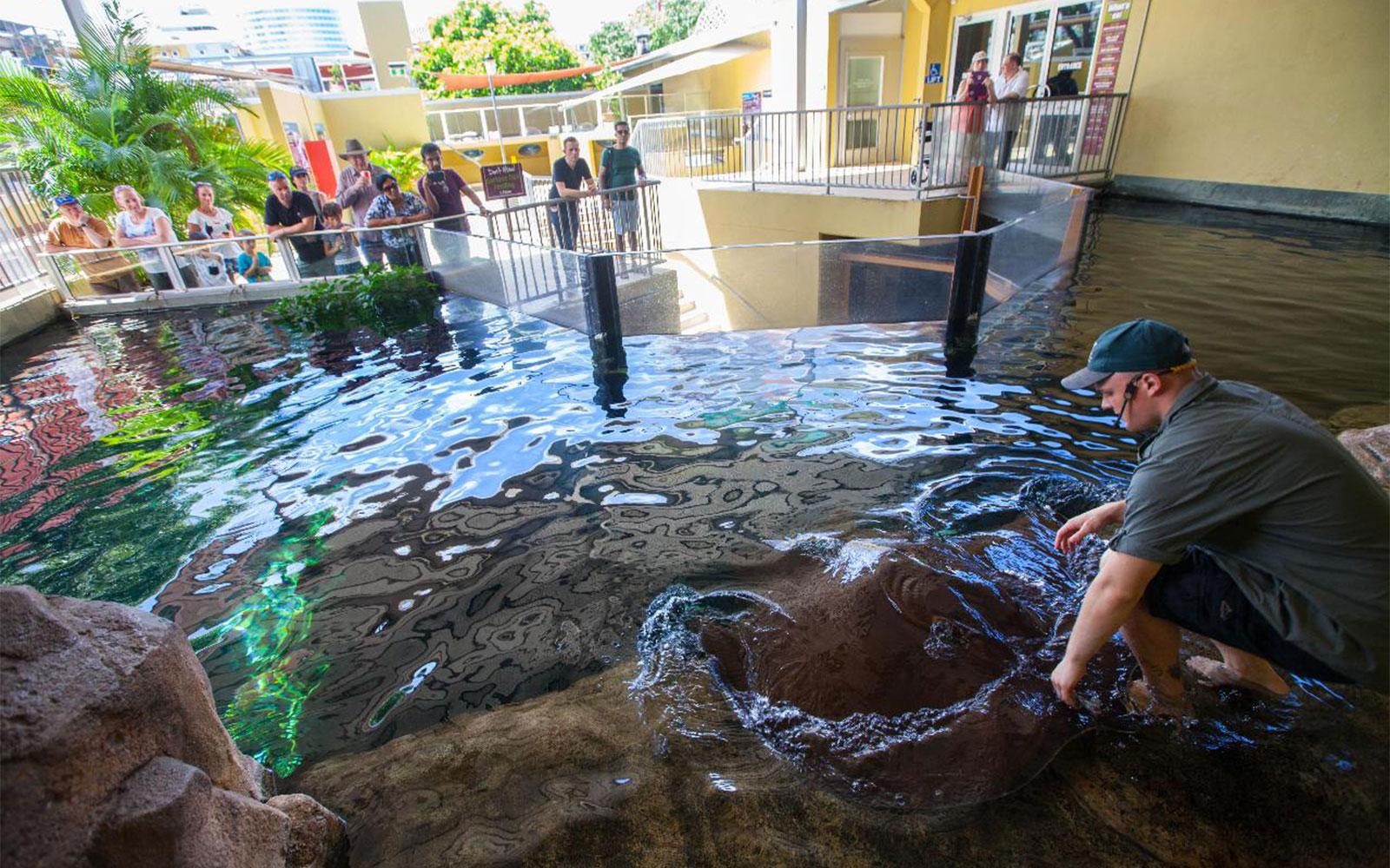 Crocosaurus Cove Tickets