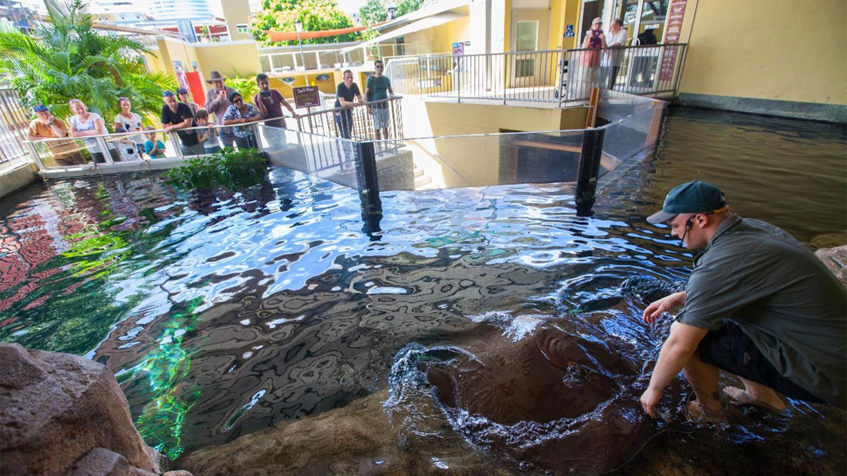 Crocosaurus Cove Tickets