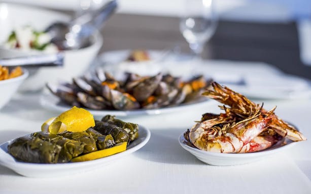 Santorini catamaran cruise meal with grilled prawns, dolmades, and clams.