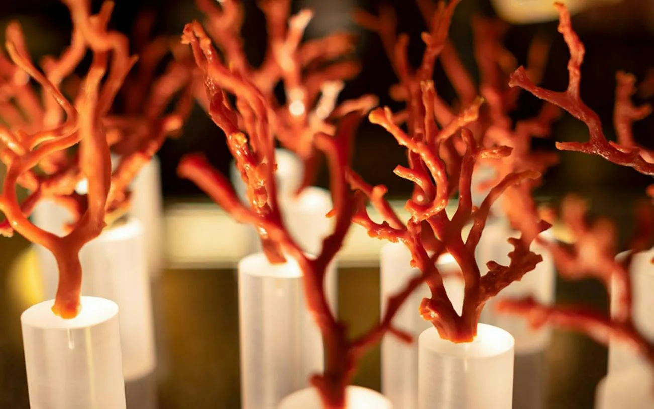 Red coral branches displayed in an Alghero artisan workshop.