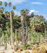Miramar - Jardins Costa i Llobera