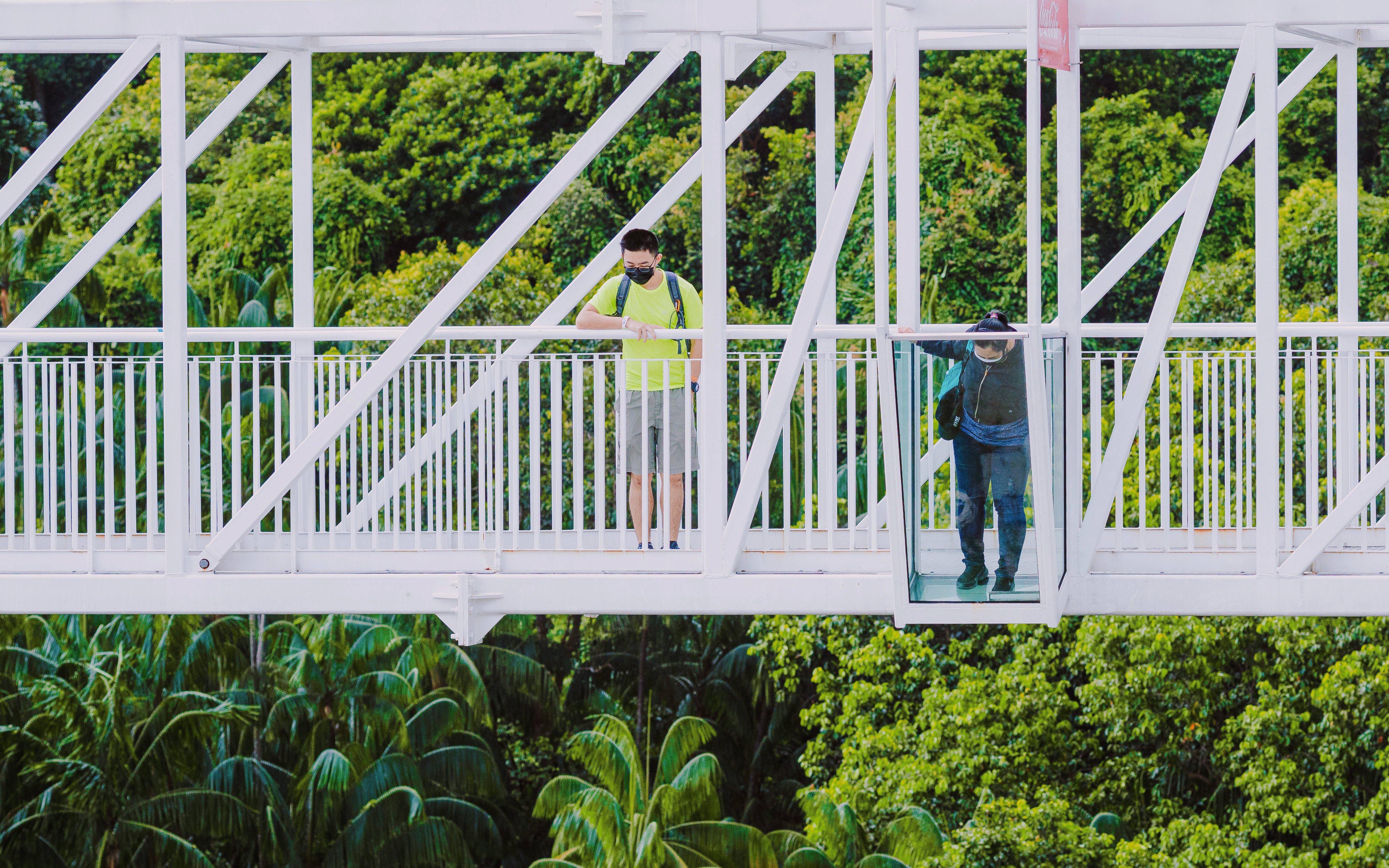 Visitors on Skybridge at AJ Hackett, Sentosa, Singapore, with lush greenery below.