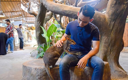 Man interacting with a small kangaroo at KL Tower Mini Zoo.