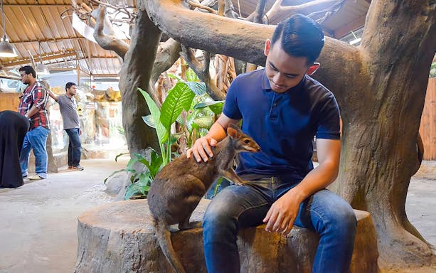 Man interacting with a small kangaroo at KL Tower Mini Zoo.