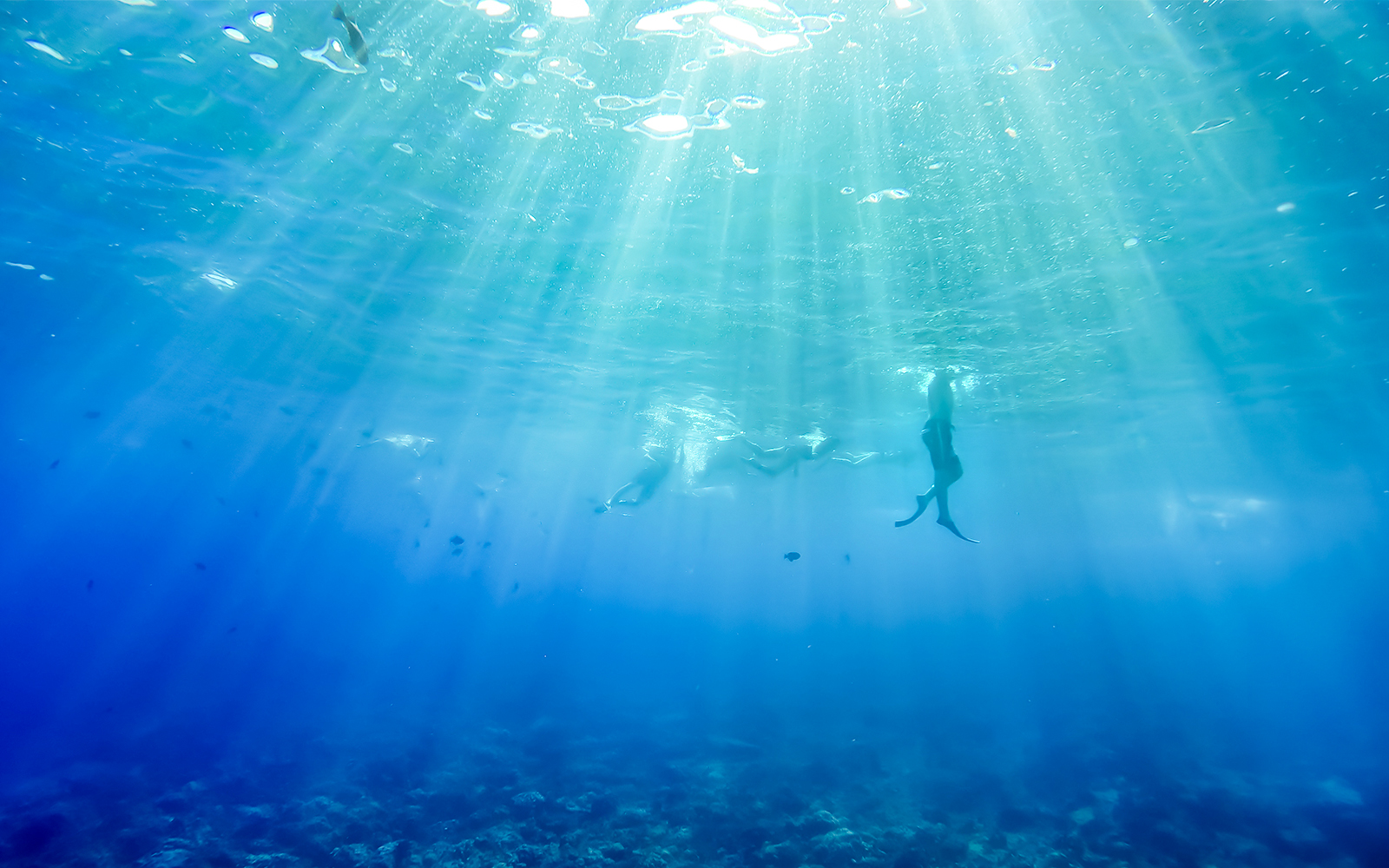 Snorkelers exploring underwater at Molokini Crater, Maui, Hawaii.