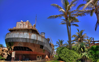 Rusty ship surrounded by palm trees on Durban City Tour.
