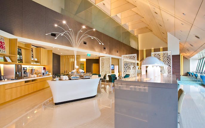 kombi (15% sparen): gardens by the bay erlebnis + changi airport lounge retreat-1