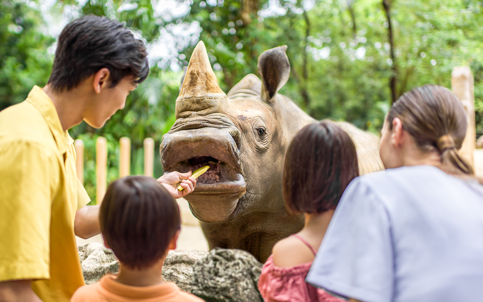 Singapore Zoo