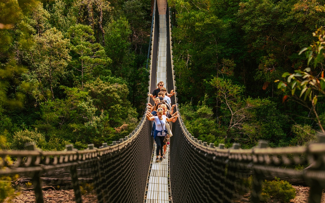 Visitors crossing a suspension bridge at Tahune Airwalk surrounded by lush forest.