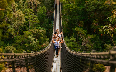 Visitors crossing a suspension bridge at Tahune Airwalk surrounded by lush forest.