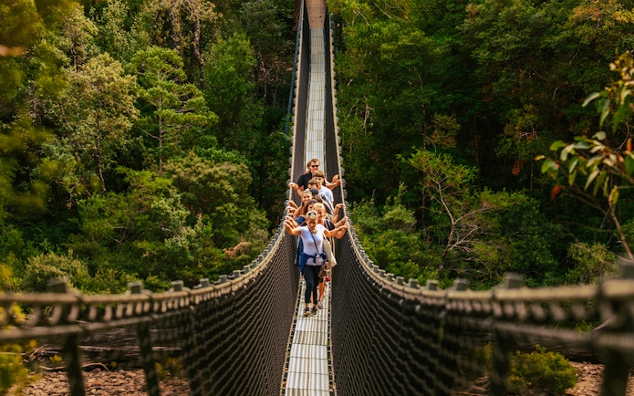 Visitors crossing a suspension bridge at Tahune Airwalk surrounded by lush forest.