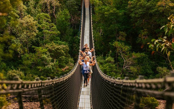 Visitors crossing a suspension bridge at Tahune Airwalk surrounded by lush forest.