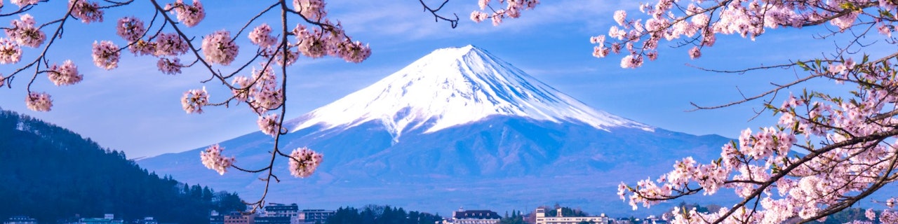 Da Tokyo: tour di un giorno intero nella zona del Monte Fuji e al lago Kawaguchiko