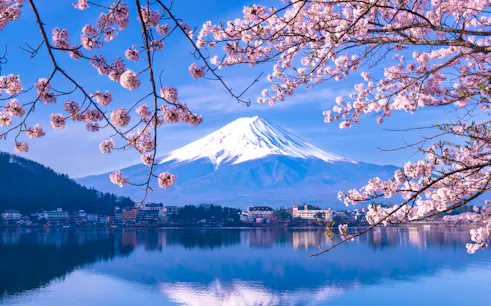 Cherry blossoms framing Mt. Fuji and Lake Kawaguchiko in Japan.