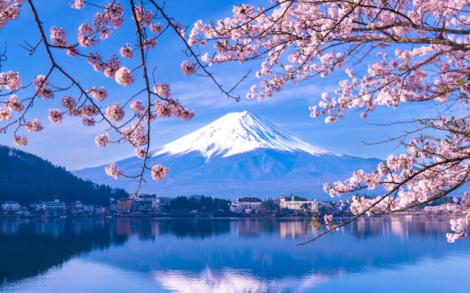 Cherry blossoms framing Mt. Fuji and Lake Kawaguchiko in Japan.