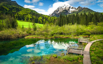 Wooden pathway by Lake Zelenci with mountain view, Kranjska Gora, Slovenia.