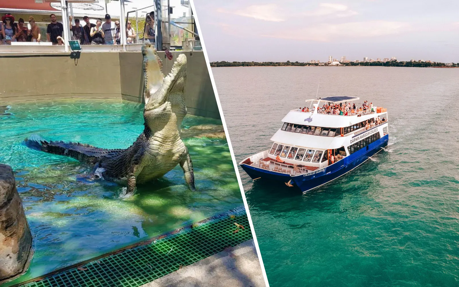Crocosaurus Cove Adventure and Darwin Harbour Sunset Dinner Experience