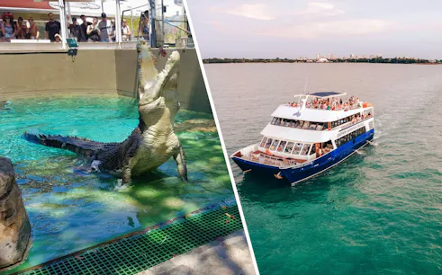 Crocodile at Crocosaurus Cove and cruise ship on Darwin Harbour.
