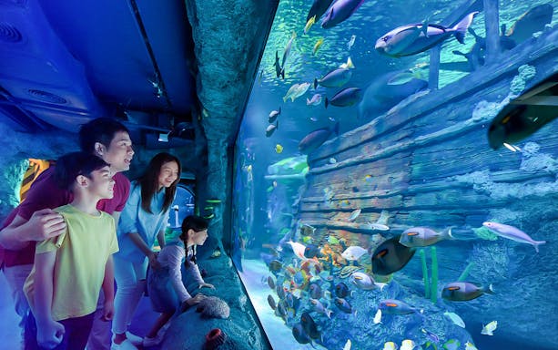 Family observing marine creatures at SEA LIFE Malaysia aquarium