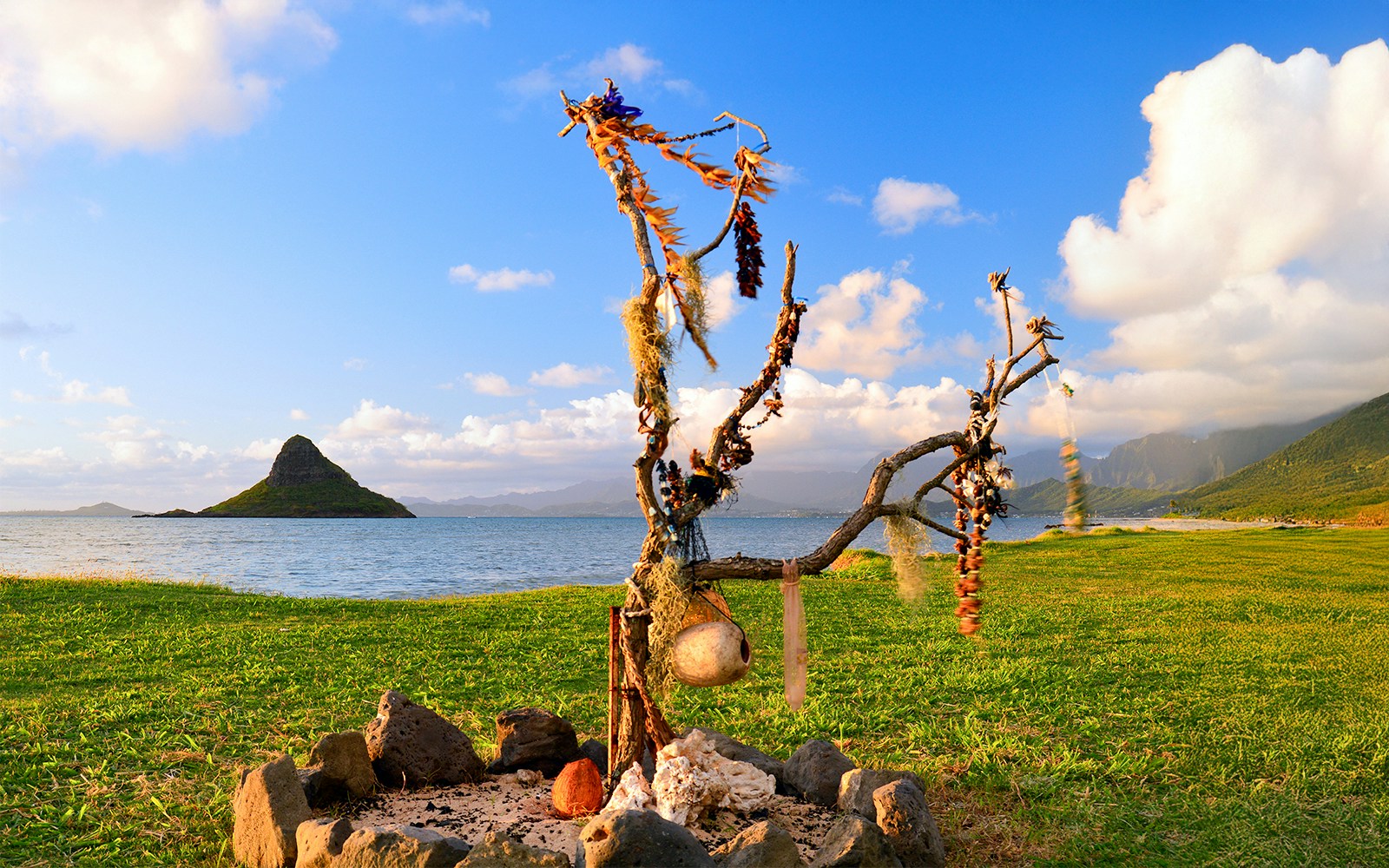 Hawaiian Tradition, lies are hung on branches so that they may be returned to the earth, rather than being thrown in the trash