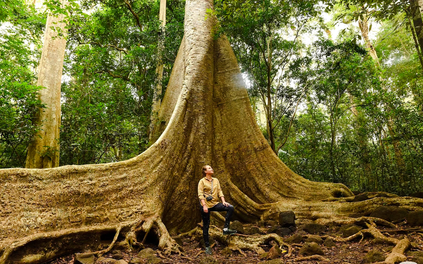 From Ho Chi Minh City: Nam Cat Tien National Park Day Trip (Product 53042)