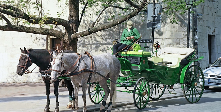 Horse-drawn carriage at rest stop in Charleston with driver seated.