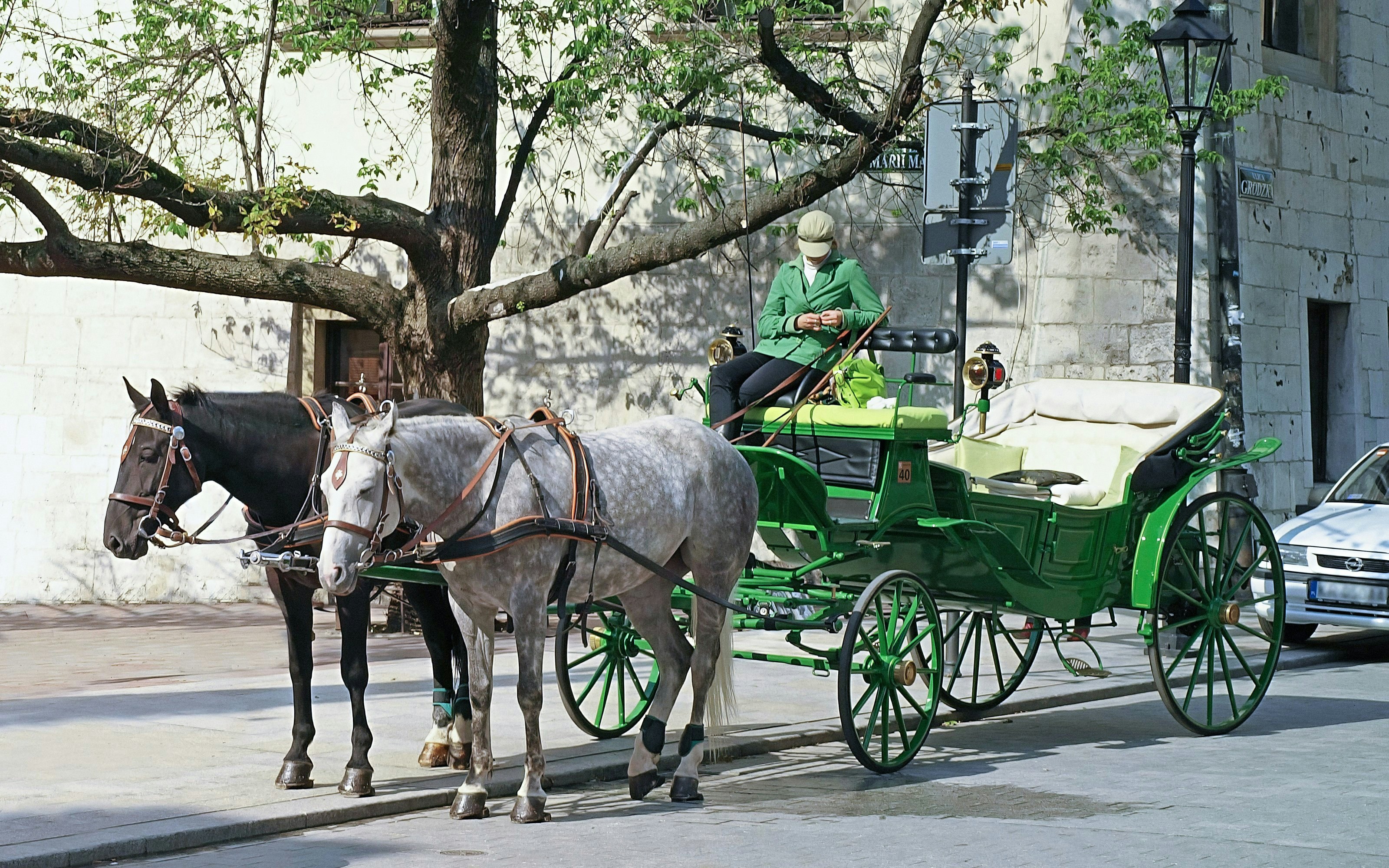 Horse-drawn carriage at rest stop in Charleston with driver seated.
