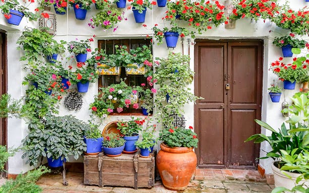 Colorful flower pots on a wall in the Patios of Cordoba during a guided tour.