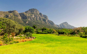 Kirstenbosch Botanical Garden lawn with mountain backdrop in Cape Town, South Africa.
