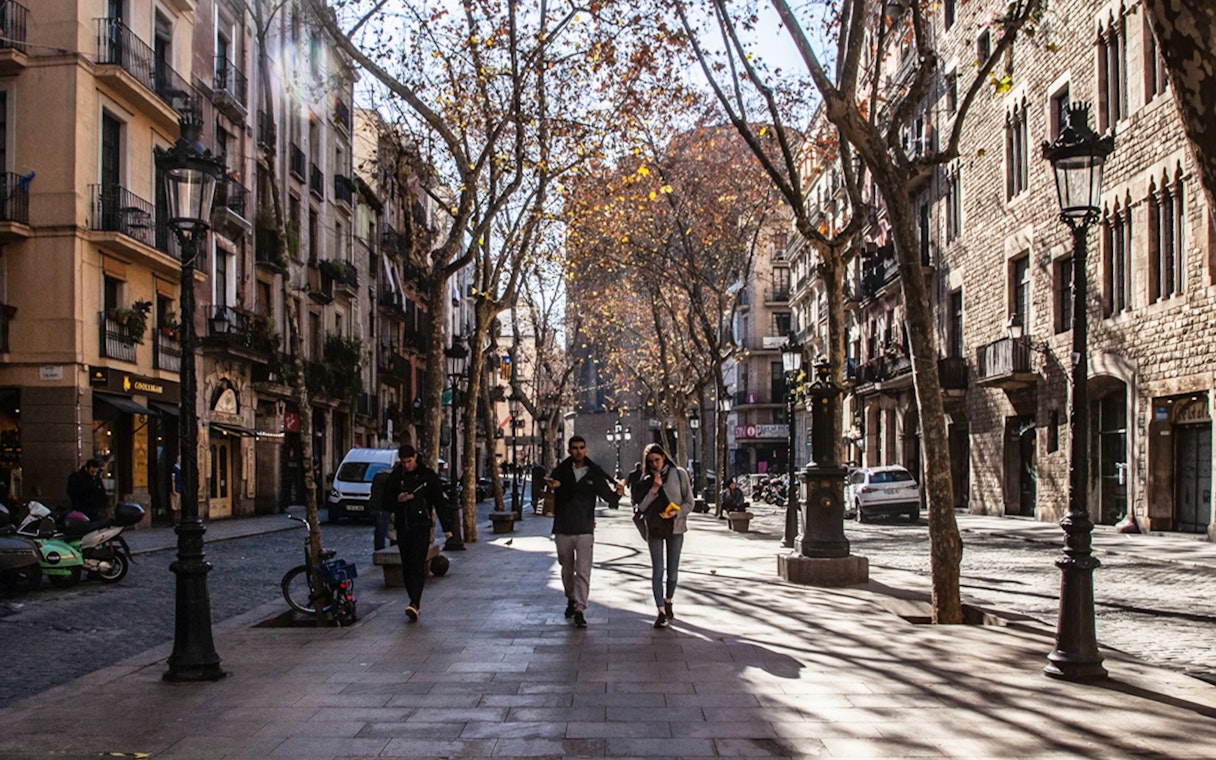 Walking along a tree-lined street in Barcelona's Gothic Quarter.