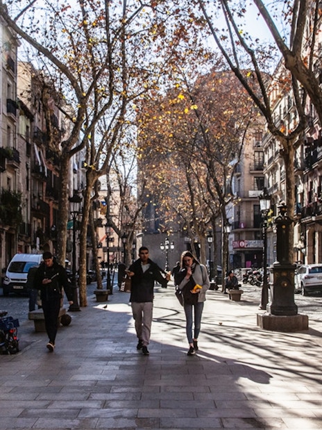Walking along a tree-lined street in Barcelona's Gothic Quarter.