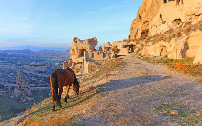 Horse grazing near rock formations in Cappadocia valley during a 2-hour horseback tour.