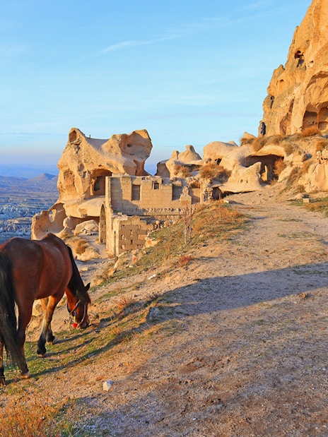 Horse grazing near rock formations in Cappadocia valley during a 2-hour horseback tour.