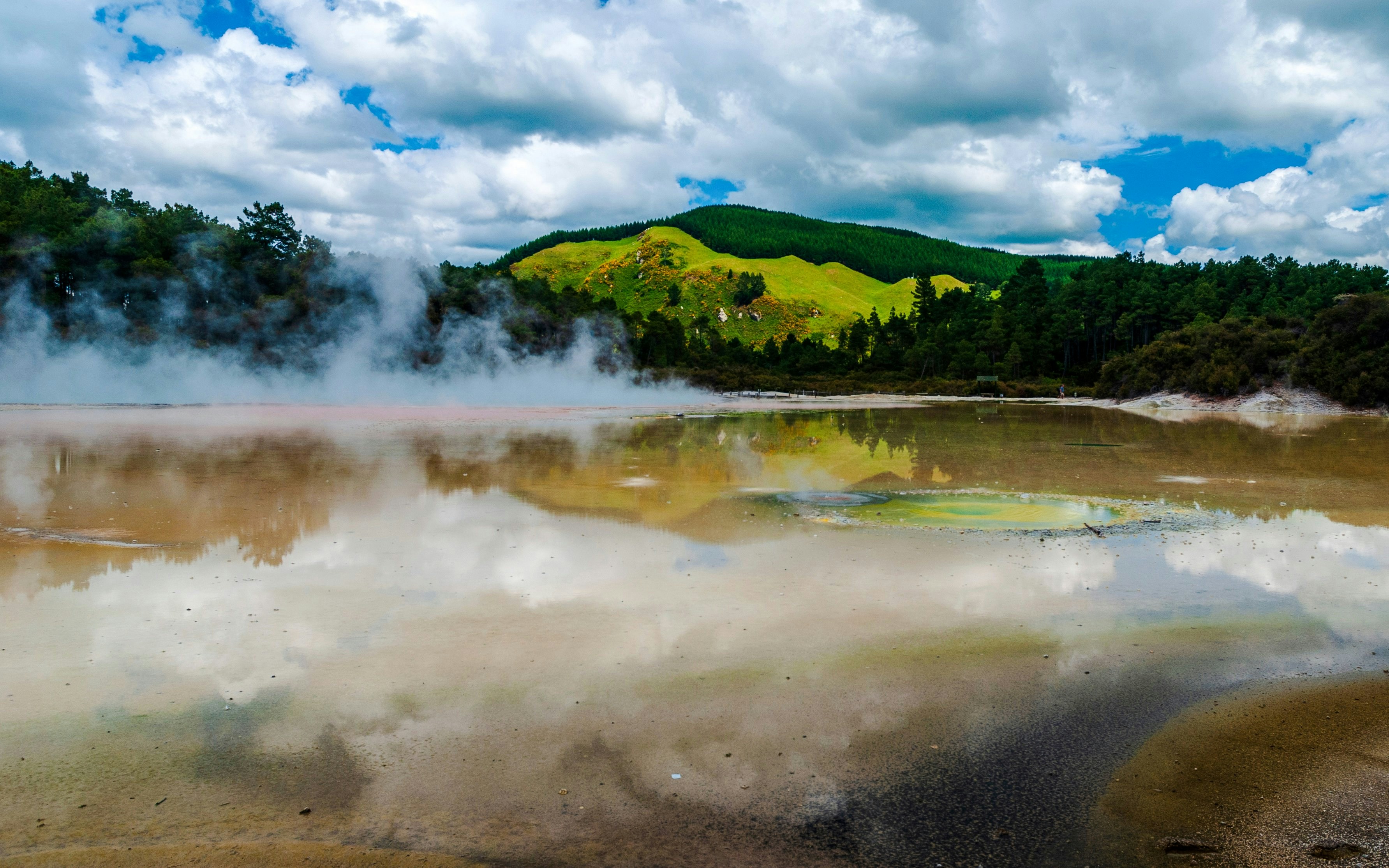 Geothermal pool with steam at Wai-O-Tapu, New Zealand, surrounded by lush greenery.