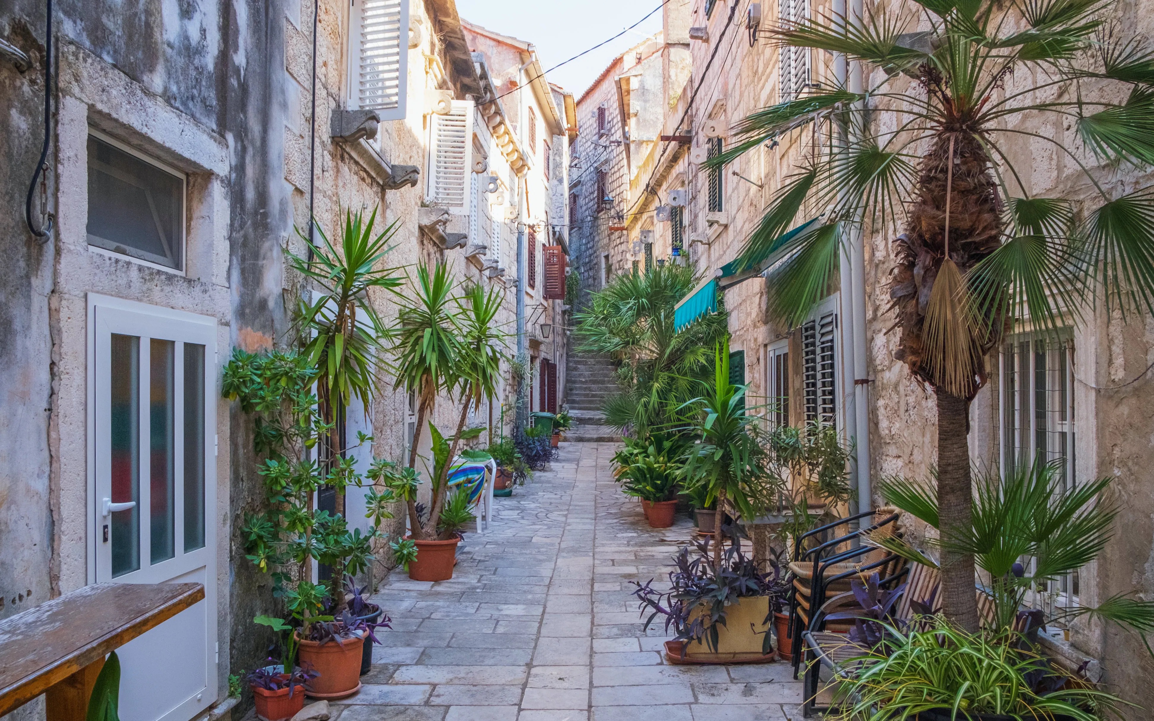 Romantic narrow street with stone buildings and potted plants in Pelješac, Dalmatia, Croatia.